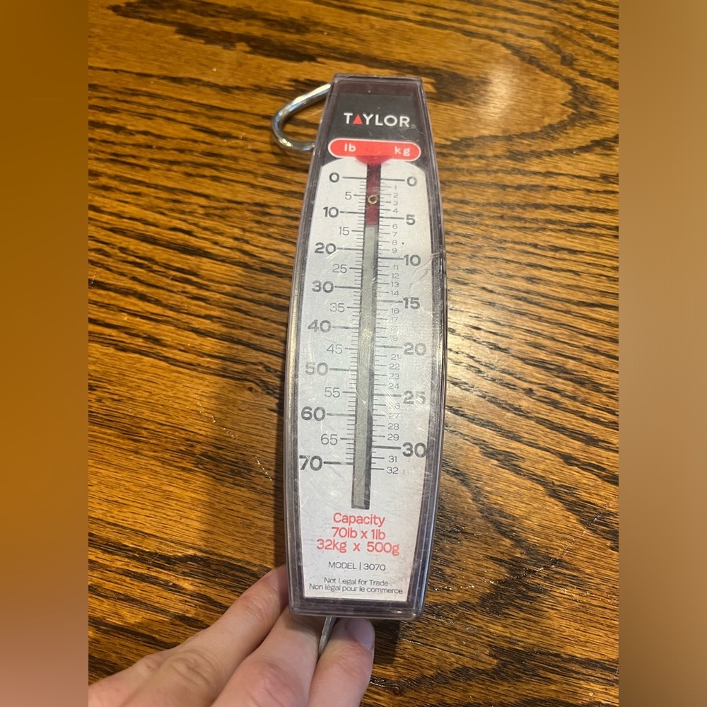 70lb hanging scale